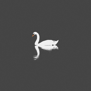 欧美老妇bbwxxxxssss
