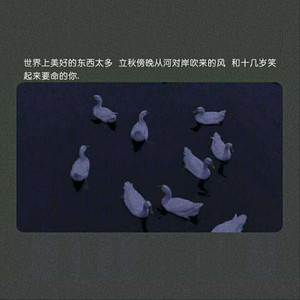 欧美老妇bbwxxxxssss
